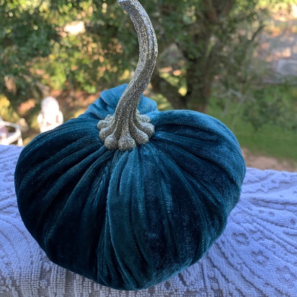 Beautiful teal velvet pumpkin - Picture 3 of 3